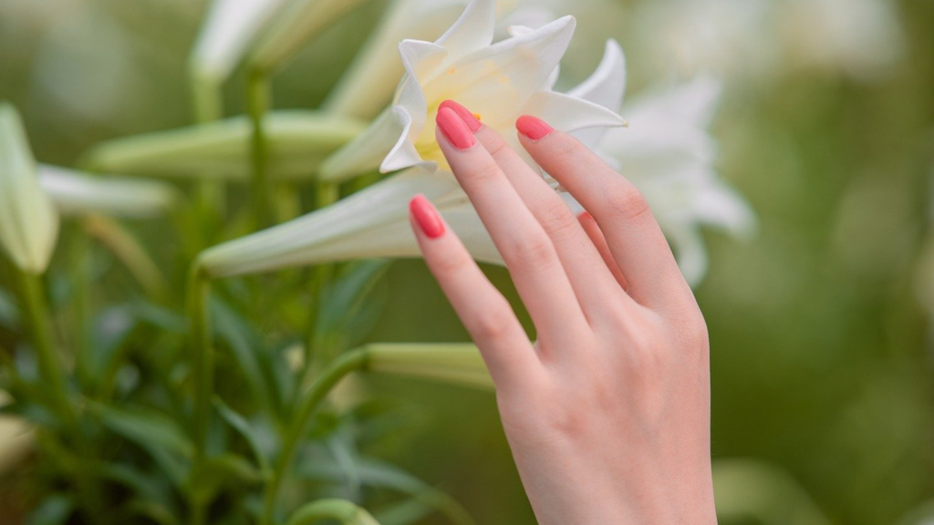 Pink French Nail With Flower